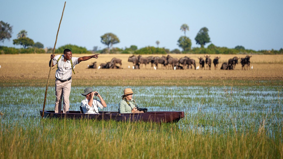 best things to see and do in Botswana