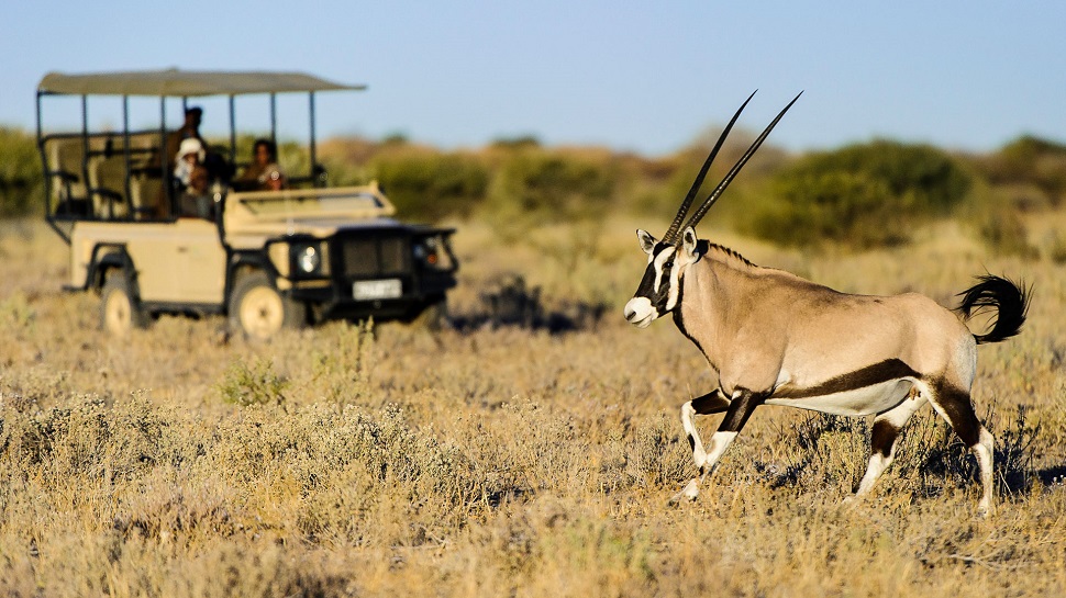 best things to see and do in Botswana